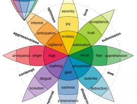 The Wheel of Emotions (non-fiction)